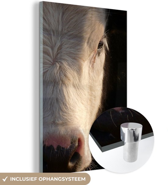 MuchoWow® Peinture sur Verre - Image Zoomée d'une Vache - 40x60 cm - Peintures sur Verre Acrylique - Photo sur Glas