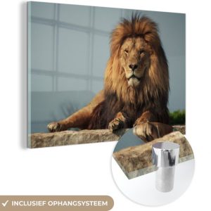 Lion reposant sur un rocher en Glas 60×40 cm – Tirage photo sur Glas (décoration murale en plexiglas) Lion reposant sur un rocher en Glas 60×40 cm – Tirage photo sur Glas (décoration murale en plexiglas)