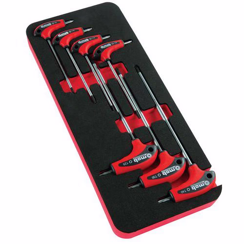 Module mousse 7 clés mâles en T Torx Module mousse 7 clés mâles en T Torx