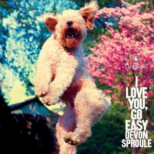 I Love You, Go Easy I Love You, Go Easy