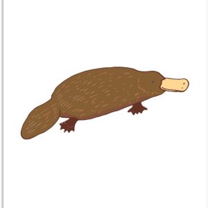 Illustration d’un ornithorynque sur fond blanc 120×180 cm XXL / Groot format! Illustration d’un ornithorynque sur fond blanc 120×180 cm XXL / Groot format!