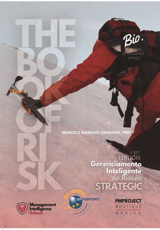 Gerenciamento Inteligente de Riscos - The Book of Risk StrategicEbook The Book of Risk | Strategic