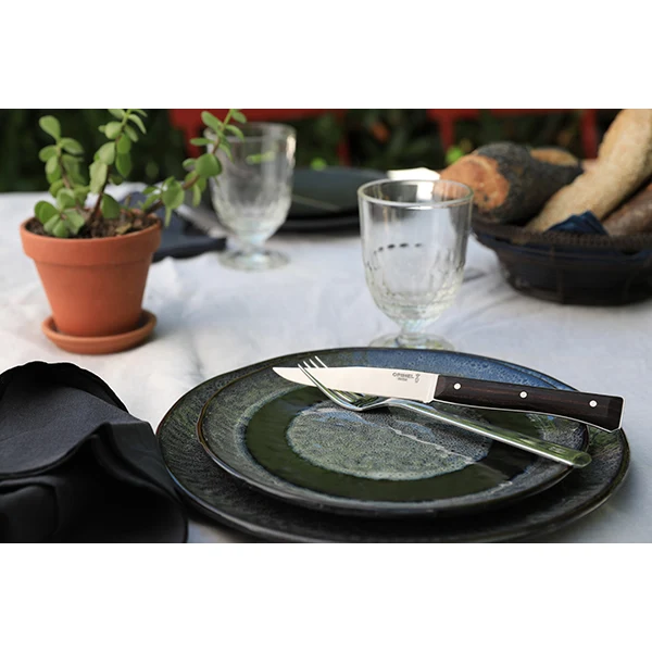 Coffret de 4 couteaux de table à lame lisse Facette frêne sombre Opinel – Image 3