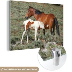 MuchoWow® Peinture sur verre 30×20 cm – Peinture acrylique sur verre – Paarden – Poulain – Fleurs – Photo sur verre – Peintures MuchoWow® Peinture sur verre 30×20 cm – Peinture acrylique sur verre – Paarden – Poulain – Fleurs – Photo sur verre – Peintures