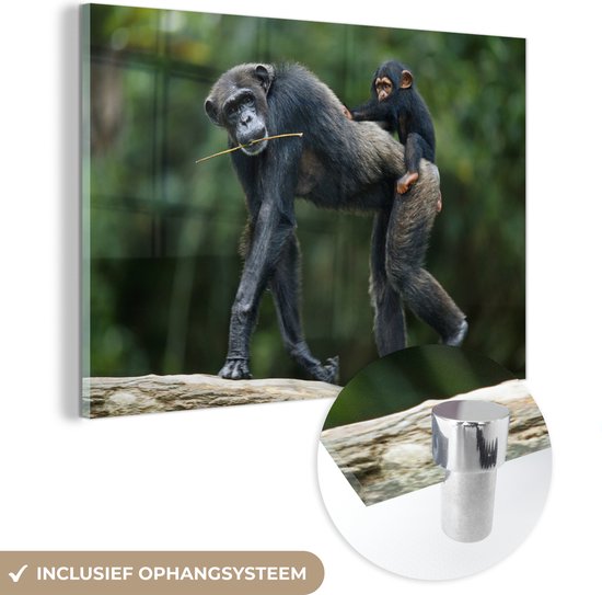 MuchoWow® Peinture sur verre 150x100 cm - Peinture sur verre acrylique - Chimpanzé avec petit sur le dos - Photo sur verre - Peintures