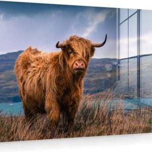 MuchoWow® Peinture sur Verre – Highlander écossais – Berg – Water – Nature – Vache – 180×120 cm – Peintures sur Verre Acrylique – Photo sur Glas MuchoWow® Peinture sur Verre – Highlander écossais – Berg – Water – Nature – Vache – 180×120 cm – Peintures sur Verre Acrylique – Photo sur Glas