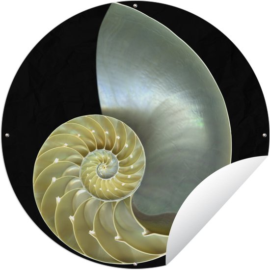 Garden Circle Shell – Zwart – Nacre – 60×60 cm – Affiche de Jardin Ronde – Extérieur Garden Circle Shell – Zwart – Nacre – 60×60 cm – Affiche de Jardin Ronde – Extérieur
