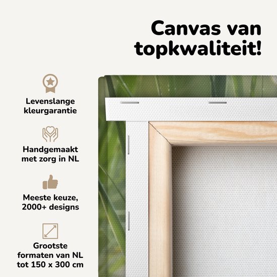 Guifette cachée entre l’herbe toile 2cm 120×90 cm – Tirage photo sur toile (Décoration murale salon / chambre) Guifette cachée entre l’herbe toile 2cm 120×90 cm – Tirage photo sur toile (Décoration murale salon / chambre)