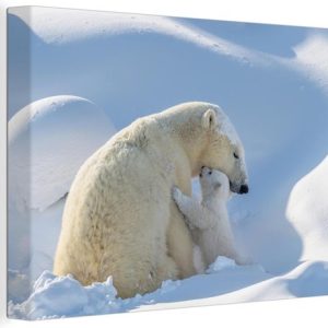 Ours polaire câlins avec sa mère 60×40 cm – Tirage photo sur toile (Décoration murale salon / chambre) Ours polaire câlins avec sa mère 60×40 cm – Tirage photo sur toile (Décoration murale salon / chambre)