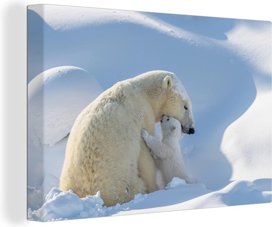 Ours polaire câlins avec sa mère 60x40 cm - Tirage photo sur toile (Décoration murale salon / chambre)