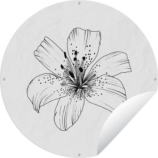 Garden Circle Lily – Bloem – Nature – Vintage – 120×120 cm – Affiche de Jardin Ronde – Extérieur – XXL Garden Circle Lily – Bloem – Nature – Vintage – 120×120 cm – Affiche de Jardin Ronde – Extérieur – XXL