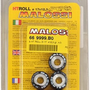 Galet rouleau de variateur Malossi pour Scooter Gilera 50 Stalker 2000 à 2017 19×15.5 5Grs / 66 9420.C0 Neuf Galet rouleau de variateur Malossi pour Scooter Gilera 50 Stalker 2000 à 2017 19×15.5 5Grs / 66 9420.C0 Neuf