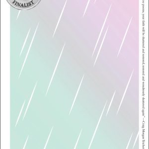 McSweeney&rsquo;s Poetry Series – The Abridged History of RainfallEbook