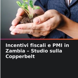 Incentivi fiscali e PMI in Zambia – Studio sulla Copperbelt Incentivi fiscali e PMI in Zambia – Studio sulla Copperbelt