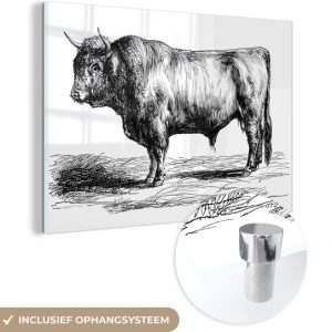 MuchoWow® Peinture sur Verre – Highlander écossais – Taureau – Zwart – Wit – Dessin – 60×40 cm – Peintures sur Verre Acrylique – Photo sur Glas MuchoWow® Peinture sur Verre – Highlander écossais – Taureau – Zwart – Wit – Dessin – 60×40 cm – Peintures sur Verre Acrylique – Photo sur Glas