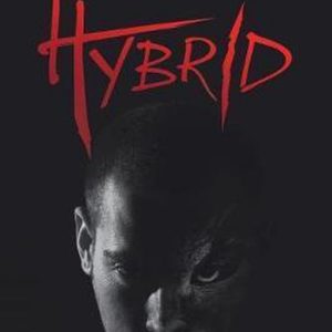 Hybrid Hybrid