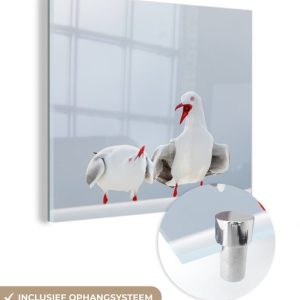 MuchoWow® Peinture sur verre 90×90 cm – Peinture acrylique sur verre – Mouettes en conversation – Photo sur verre – Peintures MuchoWow® Peinture sur verre 90×90 cm – Peinture acrylique sur verre – Mouettes en conversation – Photo sur verre – Peintures