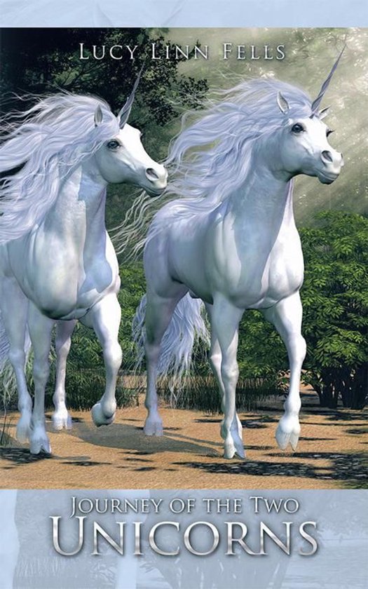 Journey of the Two UnicornsEbook