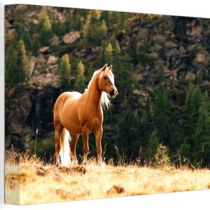 Haflinger cheval dans les montagnes toile 2cm 120×80 cm – Tirage photo sur toile (Décoration murale salon / chambre) / animaux sauvages Peintures sur toile Haflinger cheval dans les montagnes toile 2cm 120×80 cm – Tirage photo sur toile (Décoration murale salon / chambre) / animaux sauvages Peintures sur toile