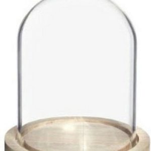 Ideas4Seasons Décoration cloche avec bouton – petite – plateforme en bois – D12 x H15 cm – cloches de présentation Ideas4Seasons Décoration cloche avec bouton – petite – plateforme en bois – D12 x H15 cm – cloches de présentation