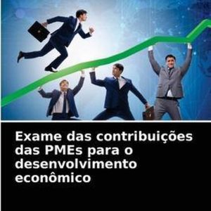 Exame das contribuições das PMEs para o desenvolvimento econômico