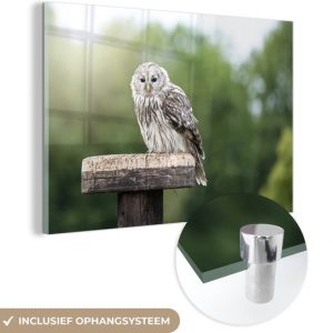 MuchoWow® Peinture sur verre 150×100 cm – Peinture sur verre acrylique – Chouette de l’Oural assise devant une forêt sur un poteau en bois – Photo sur verre – Peintures MuchoWow® Peinture sur verre 150×100 cm – Peinture sur verre acrylique – Chouette de l’Oural assise devant une forêt sur un poteau en bois – Photo sur verre – Peintures