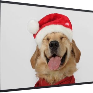 Image encadrée – Cadre photo drôle de chien souriant noir 120×80 cm – Affiche encadrée (Décoration murale salon / chambre) Image encadrée – Cadre photo drôle de chien souriant noir 120×80 cm – Affiche encadrée (Décoration murale salon / chambre)