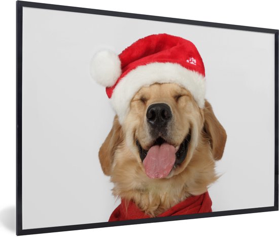Image encadrée - Cadre photo drôle de chien souriant noir 120x80 cm - Affiche encadrée (Décoration murale salon / chambre)