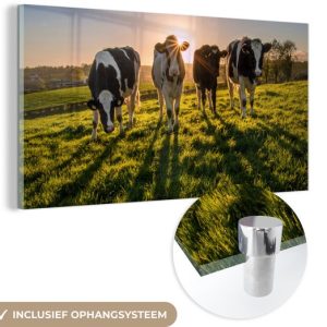 MuchoWow® Peinture sur Verre – Vache – Soleil – Herbe – 160×80 cm – Peintures sur Verre Acrylique – Photo sur Glas MuchoWow® Peinture sur Verre – Vache – Soleil – Herbe – 160×80 cm – Peintures sur Verre Acrylique – Photo sur Glas