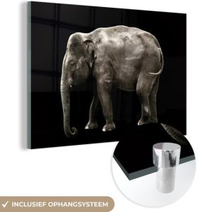 MuchoWow® Peinture sur verre 30×20 cm – Peinture sur verre acrylique – Éléphant – Animaux sauvages – Zwart – Photo sur verre – Peintures