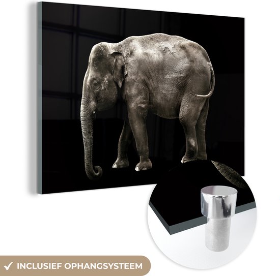 MuchoWow® Peinture sur verre 30x20 cm - Peinture sur verre acrylique - Éléphant - Animaux sauvages - Zwart - Photo sur verre - Peintures