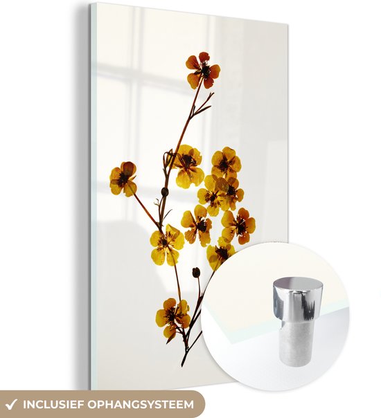 MuchoWow® Peinture sur verre - Fleurs séchées - Jaune - Wit - 40x60 cm - Peintures sur verre acrylique - Photo sur Glas