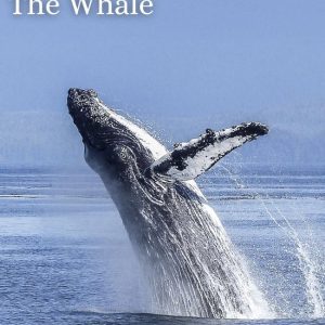 Moby Dick; Or, The WhaleEbook Moby Dick; Or, The WhaleEbook