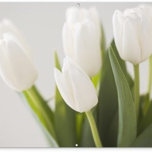 Image de plusieurs tulipes Affiche de jardin 180×120 cm – Toile de jardin / Toile d’extérieur / Peintures d’extérieur (décoration de jardin) XXL / Groot format! Image de plusieurs tulipes Affiche de jardin 180×120 cm – Toile de jardin / Toile d’extérieur / Peintures d’extérieur (décoration de jardin) XXL / Groot format!