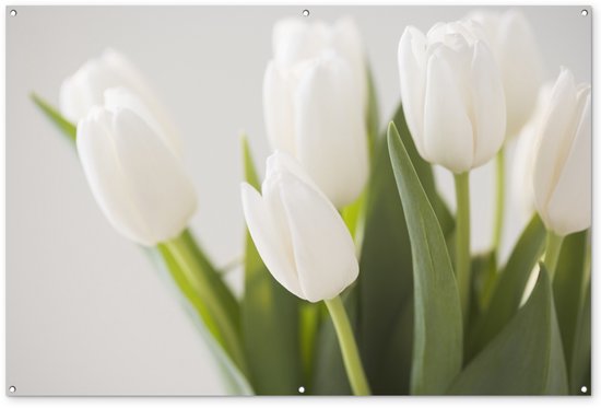 Image de plusieurs tulipes Affiche de jardin 180x120 cm - Toile de jardin / Toile d'extérieur / Peintures d'extérieur (décoration de jardin) XXL / Groot format!