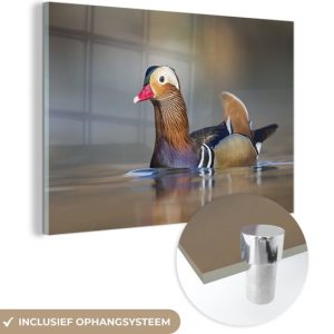 MuchoWow® Peinture sur verre – Canard – Canard mandarin – Water – 180×120 cm – Peintures sur verre acrylique – Photo sur Glas MuchoWow® Peinture sur verre – Canard – Canard mandarin – Water – 180×120 cm – Peintures sur verre acrylique – Photo sur Glas