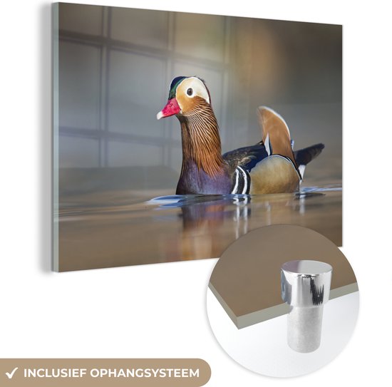 MuchoWow® Peinture sur verre - Canard - Canard mandarin - Water - 180x120 cm - Peintures sur verre acrylique - Photo sur Glas