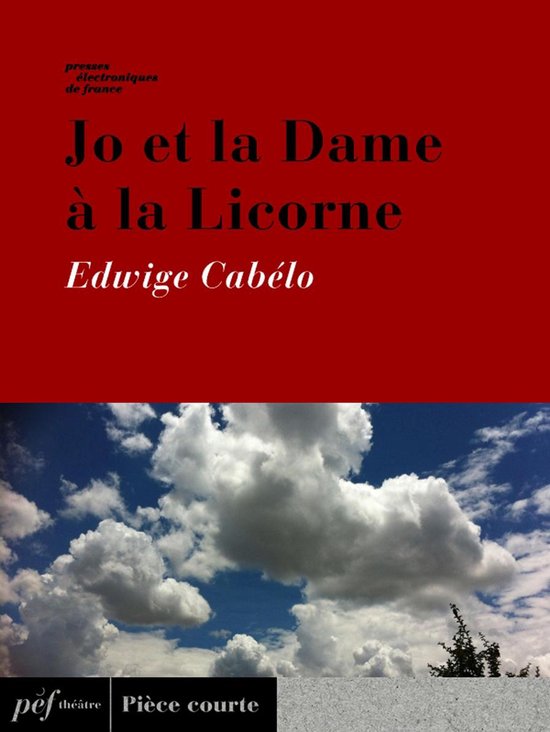 Jo et la Dame à la LicorneEbook