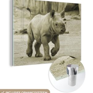 MuchoWow® Peinture sur verre 120×90 cm – Peinture sur verre acrylique – Rhinocéros – Veau – Photo sur verre – Peintures MuchoWow® Peinture sur verre 120×90 cm – Peinture sur verre acrylique – Rhinocéros – Veau – Photo sur verre – Peintures