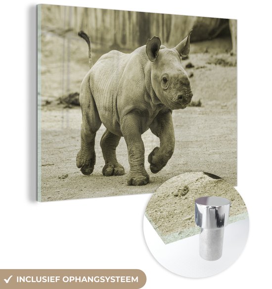 MuchoWow® Peinture sur verre 120x90 cm - Peinture sur verre acrylique - Rhinocéros - Veau - Photo sur verre - Peintures