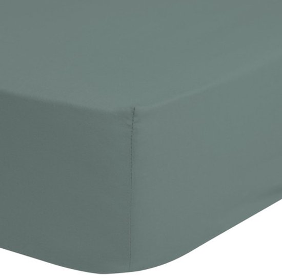 Hoeslaken Good Morning Jersey Junior 70 X 140 Cm Katoen Vert