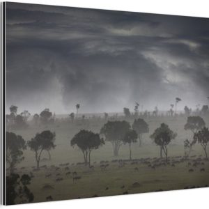Nuages d’orage au parc national du Masai Mara au Kenya Aluminium 120×80 cm – Tirage photo sur aluminium (décoration murale en métal) Nuages d’orage au parc national du Masai Mara au Kenya Aluminium 120×80 cm – Tirage photo sur aluminium (décoration murale en métal)