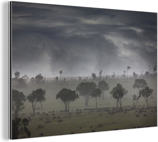 Nuages d'orage au parc national du Masai Mara au Kenya Aluminium 120x80 cm - Tirage photo sur aluminium (décoration murale en métal)