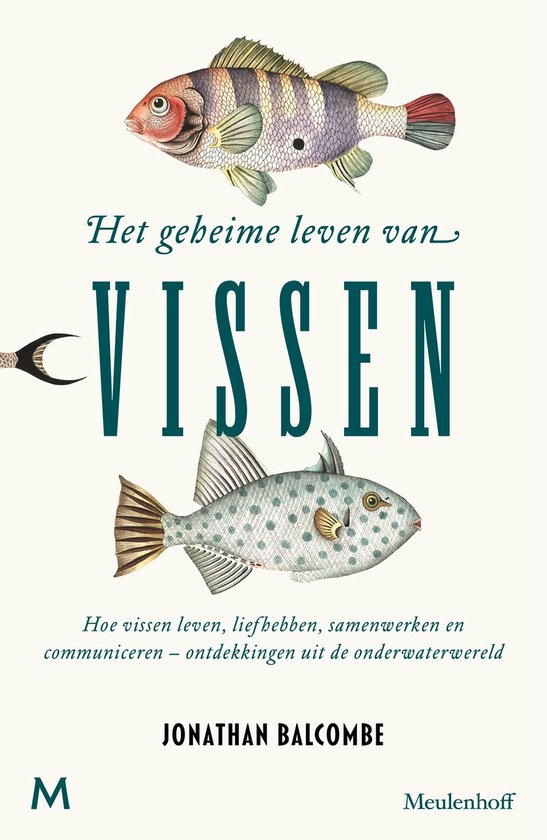 Het geheime leven van vissenEbook Hoe vissen leven, liefhebben, samenwerken en communiceren - ontdekkingen uit de onderwaterwereld