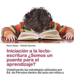 Iniciación a la lecto-escritura ¿Somos un puente para el aprendizaje? Iniciación a la lecto-escritura ¿Somos un puente para el aprendizaje?