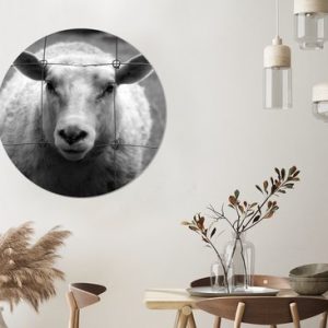 Impression photo mouton noir et blanc Cercle mural aluminium ⌀ 90 cm – impression photo sur cercle mural / cercle vivant / cercle de jardin (décoration murale) Impression photo mouton noir et blanc Cercle mural aluminium ⌀ 90 cm – impression photo sur cercle mural / cercle vivant / cercle de jardin (décoration murale)