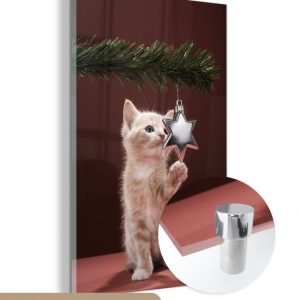 MuchoWow® Peinture sur verre – Noël – Décorations de Noël – Chat – 20×30 cm – Peintures sur verre acrylique – Photo sur Glas MuchoWow® Peinture sur verre – Noël – Décorations de Noël – Chat – 20×30 cm – Peintures sur verre acrylique – Photo sur Glas
