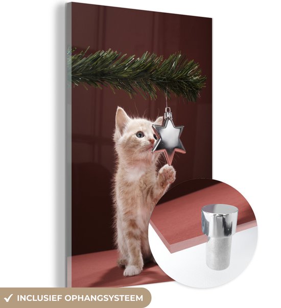 MuchoWow® Peinture sur verre - Noël - Décorations de Noël - Chat - 20x30 cm - Peintures sur verre acrylique - Photo sur Glas