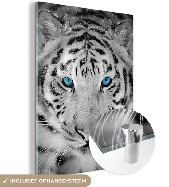 MuchoWow® Peinture sur verre 120x160 cm - Peinture sur verre acrylique - Tigre - Hiver - Animaux - Photo sur verre - Peintures