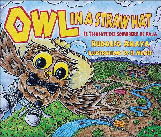 Owl in a Straw Hat El Tecolote del Sombrero de Paja